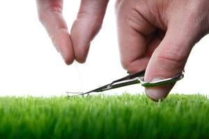 b2ap3_thumbnail_Lawn-cutting_sml.jpg